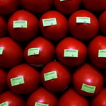 آفت کش ها سبب آسیب های مغزی می شوند/ آینده با مواد غذایی ارگانیک است