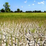 سریال دنباله‌دار کمبود آب کشاورزی در مازندران